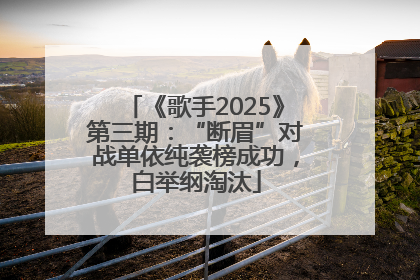 《歌手2025》第三期：“断眉”对战单依纯袭榜成功，白举纲淘汰