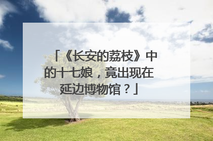 《长安的荔枝》中的十七娘，竟出现在延边博物馆？