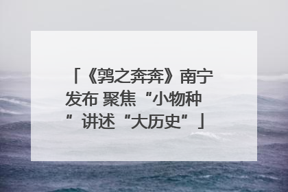 《鹑之奔奔》南宁发布 聚焦“小物种”讲述“大历史”