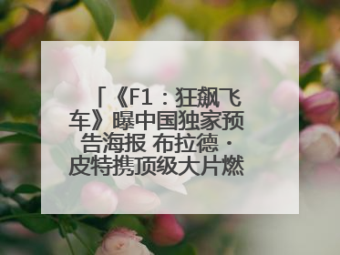 《F1：狂飙飞车》曝中国独家预告海报 布拉德・皮特携顶级大片燃爆暑期