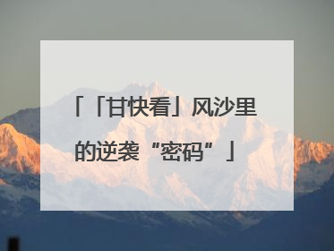「甘快看」风沙里的逆袭“密码”