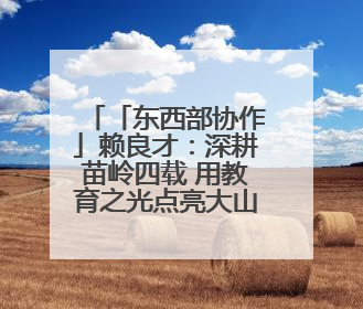 「东西部协作」赖良才：深耕苗岭四载 用教育之光点亮大山未来