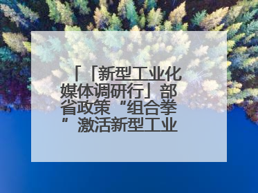 「新型工业化媒体调研行」部省政策“组合拳”激活新型工业化华东样板