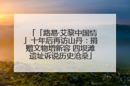 「路易·艾黎中国情」十年后再访山丹：捐赠文物增新容 四坝滩遗址诉说历史沧桑
