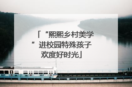 “熙熙乡村美学”进校园特殊孩子欢度好时光