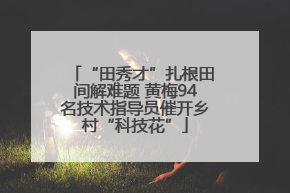 “田秀才”扎根田间解难题 黄梅94名技术指导员催开乡村“科技花”