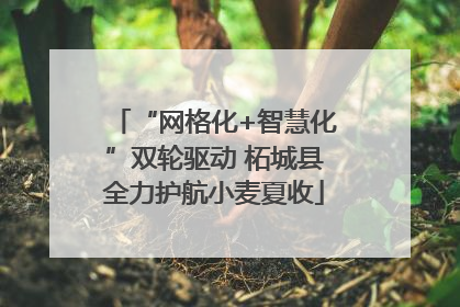 “网格化+智慧化”双轮驱动 柘城县全力护航小麦夏收