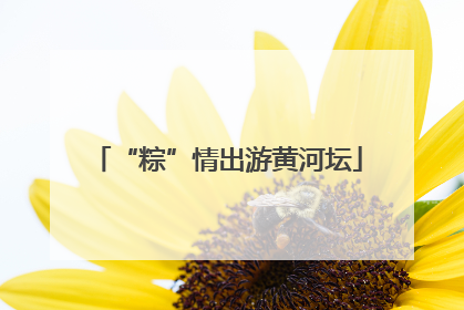 “粽”情出游黄河坛