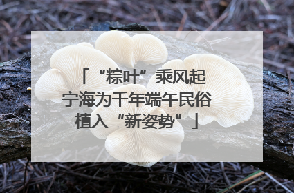 “粽叶”乘风起 宁海为千年端午民俗植入“新姿势”