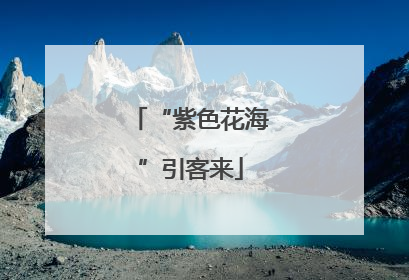 “紫色花海”引客来