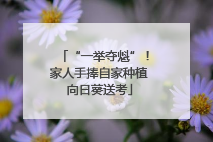 “一举夺魁”！家人手捧自家种植向日葵送考