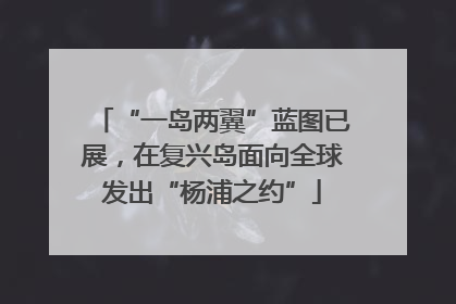 “一岛两翼”蓝图已展，在复兴岛面向全球发出“杨浦之约”