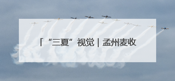 “三夏”视觉｜孟州麦收正当时 机械减损保归仓