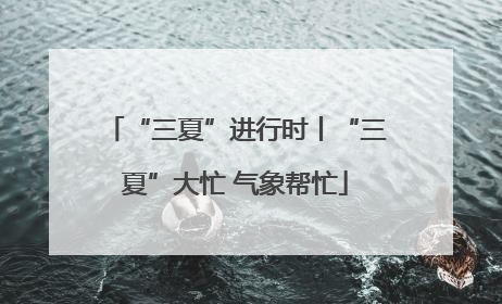 “三夏”进行时丨“三夏”大忙 气象帮忙