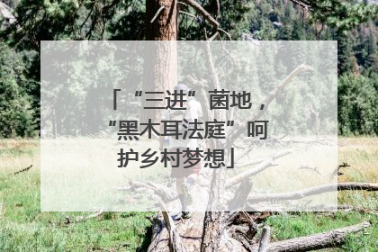 “三进”菌地，“黑木耳法庭”呵护乡村梦想