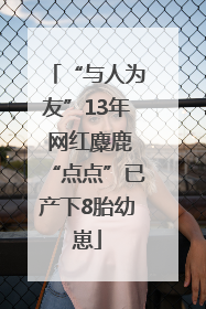 “与人为友”13年 网红麋鹿“点点”已产下8胎幼崽