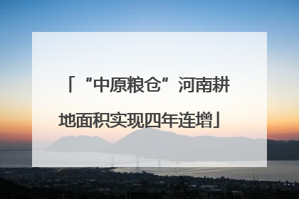 “中原粮仓”河南耕地面积实现四年连增