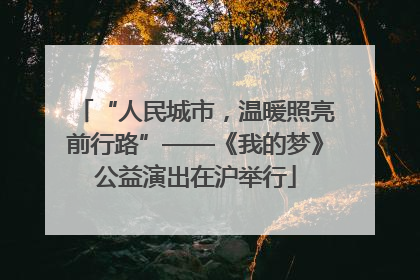 “人民城市，温暖照亮前行路”——《我的梦》公益演出在沪举行