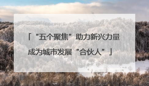“五个聚焦”助力新兴力量成为城市发展“合伙人”