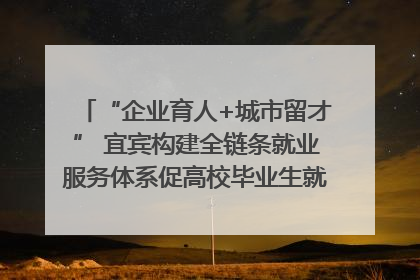 “企业育人+城市留才” 宜宾构建全链条就业服务体系促高校毕业生就业｜您牵挂的四川