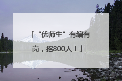 “优师生”有编有岗，招800人！