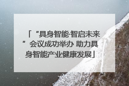 “具身智能·智启未来”会议成功举办 助力具身智能产业健康发展