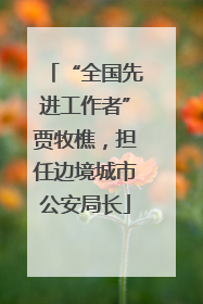 “全国先进工作者”贾牧樵，担任边境城市公安局长