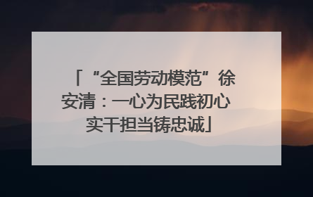 “全国劳动模范”徐安清：一心为民践初心 实干担当铸忠诚