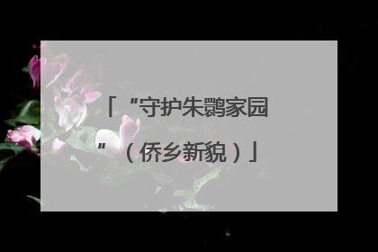 “守护朱鹮家园”（侨乡新貌）