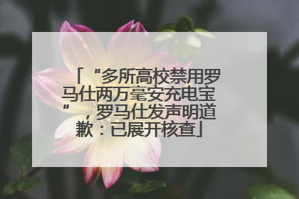 “多所高校禁用罗马仕两万毫安充电宝”，罗马仕发声明道歉：已展开核查