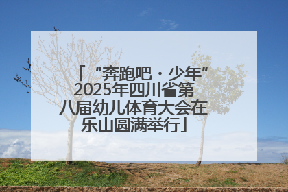 “奔跑吧・少年”2025年四川省第八届幼儿体育大会在乐山圆满举行
