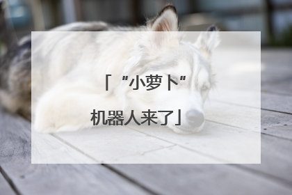 “小萝卜”机器人来了
