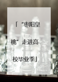 “枣阳皇桃”走进高校毕业季