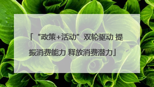 “政策+活动”双轮驱动 提振消费能力 释放消费潜力