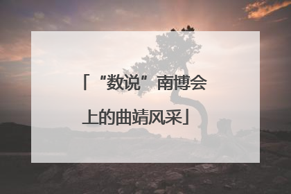 “数说”南博会上的曲靖风采