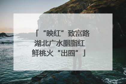 “映红”致富路 湖北广水胭脂红鲜桃火“出圈”