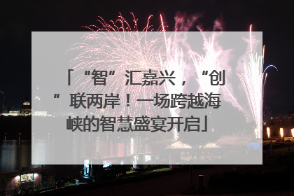 “智”汇嘉兴，“创”联两岸！一场跨越海峡的智慧盛宴开启