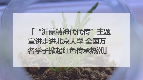 “沂蒙精神代代传”主题宣讲走进北京大学 全国万名学子掀起红色传承热潮