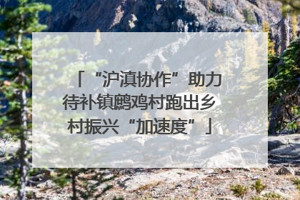“沪滇协作”助力待补镇鹧鸡村跑出乡村振兴“加速度”