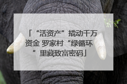 “活资产”撬动千万资金 罗家村“绿循环”里藏致富密码