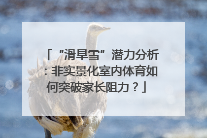 “滑旱雪”潜力分析：非实景化室内体育如何突破家长阻力？