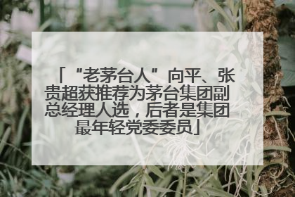 “老茅台人”向平、张贵超获推荐为茅台集团副总经理人选，后者是集团最年轻党委委员