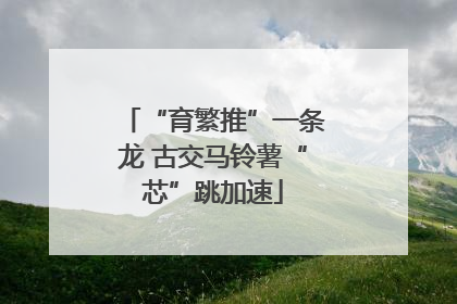 “育繁推”一条龙 古交马铃薯“芯”跳加速
