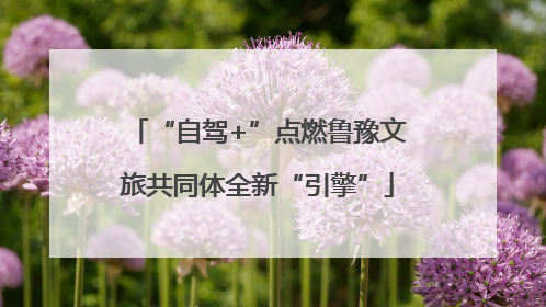 “自驾+”点燃鲁豫文旅共同体全新“引擎”