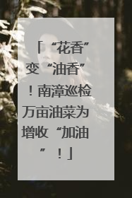 “花香”变“油香”！南漳巡检万亩油菜为增收“加油”！