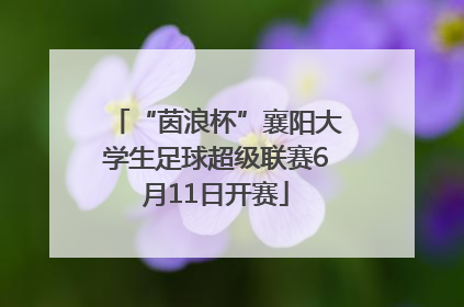“茵浪杯”襄阳大学生足球超级联赛6月11日开赛