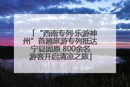“西南专列·乐游神州”首趟旅游专列抵达宁夏固原 800余名游客开启清凉之旅
