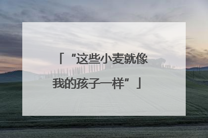 “这些小麦就像我的孩子一样”
