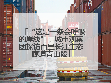 “这是一条会呼吸的岸线”，城市观察团探访百里长江生态廊道青山段