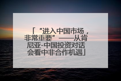 “进入中国市场，非常重要”——从肯尼亚-中国投资对话会看中非合作机遇